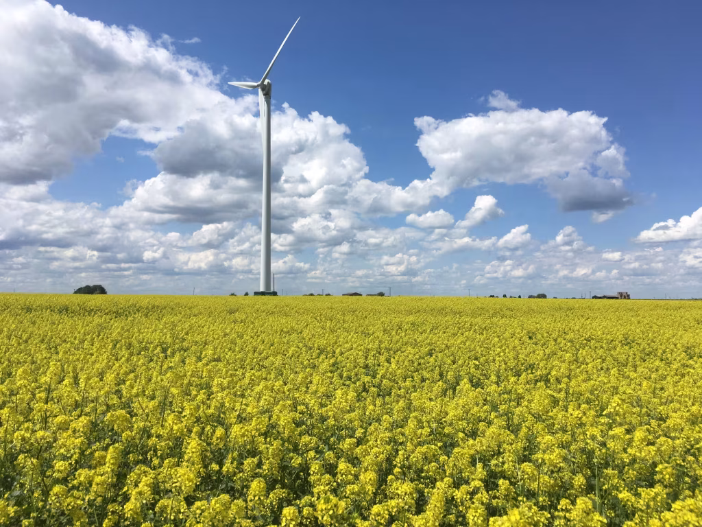 Bank Farm Ltd, White Fen Farm, Whittlesey Rd, Benwick, March PE15 0XJ